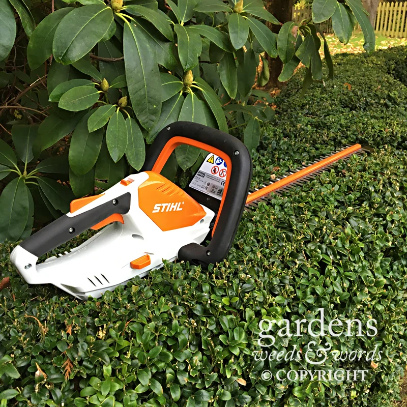 Stihl hsa 45 hedge trimmer review hot sale